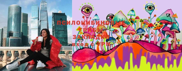 jwh Ельня
