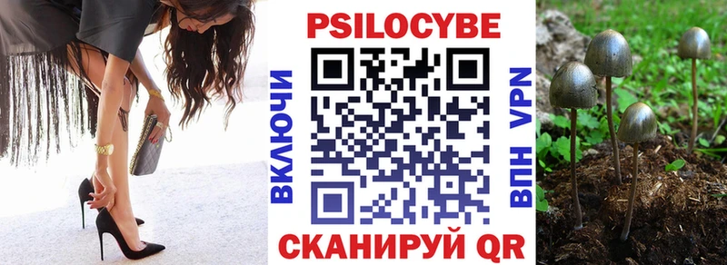 Псилоцибиновые грибы MAGIC MUSHROOMS  хочу наркоту  Жуковка 